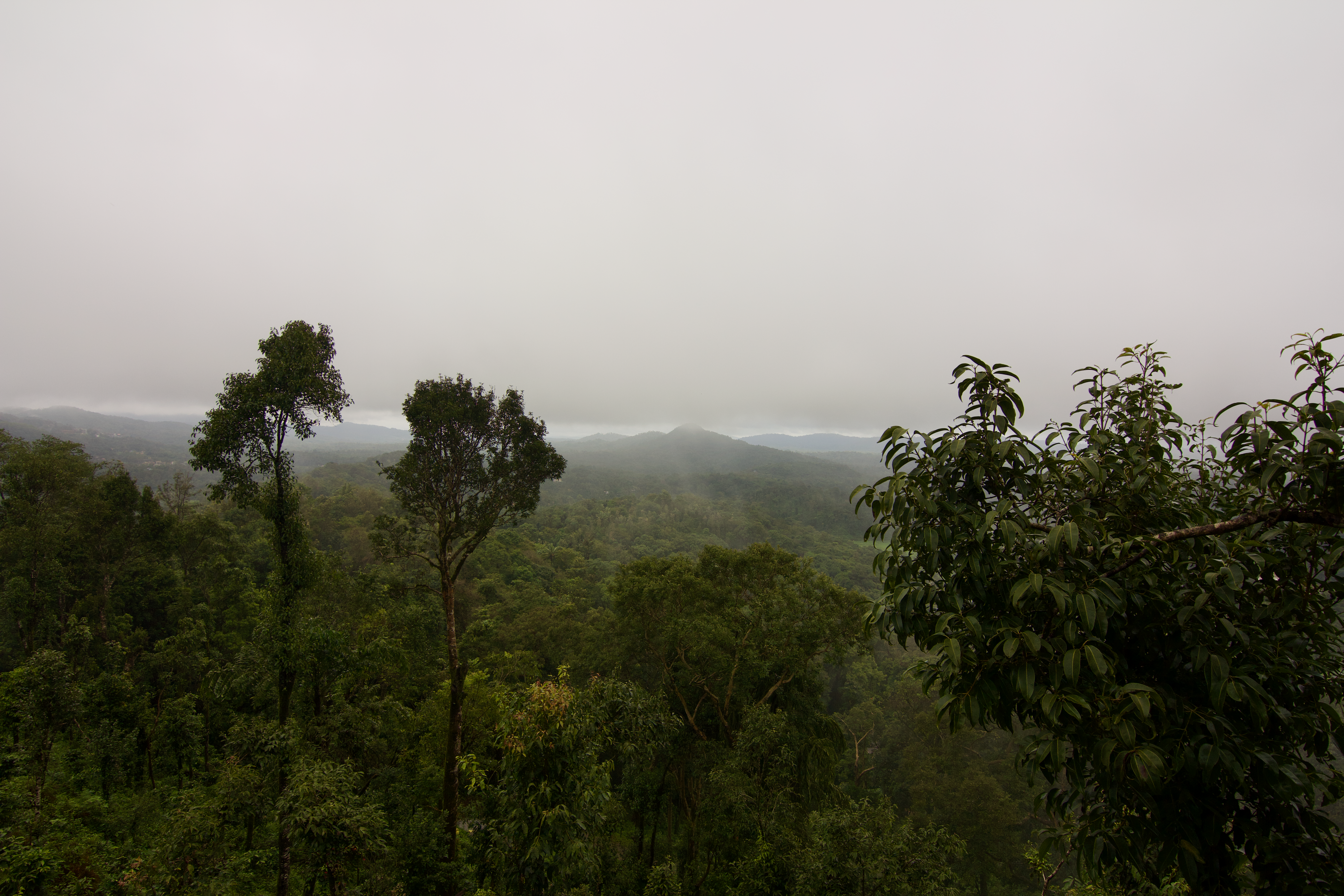 Itinerary View